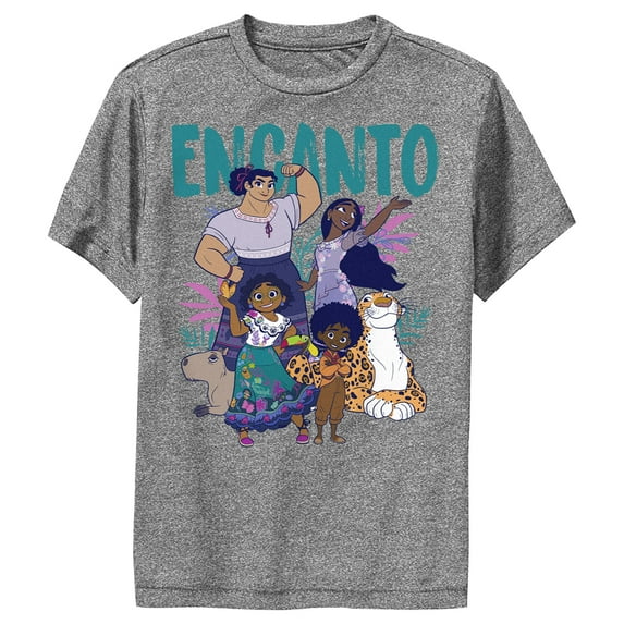 Boy's Encanto The Family With Magical Gifts Performance Graphic Tee Charcoal Heather Medium
