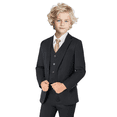 thumbnail image 2 of ETHAN Boys' Suits Slim Fit 5 Pieces Boys Formal Suit Set For Wedding Suit Ring Bearer Suit Light Grey 4y 86961866 89d1 4850 Ae88 86abe7e0dfb0.aaa646a82bdaa3b052463775cf7ef00a 2 of 9