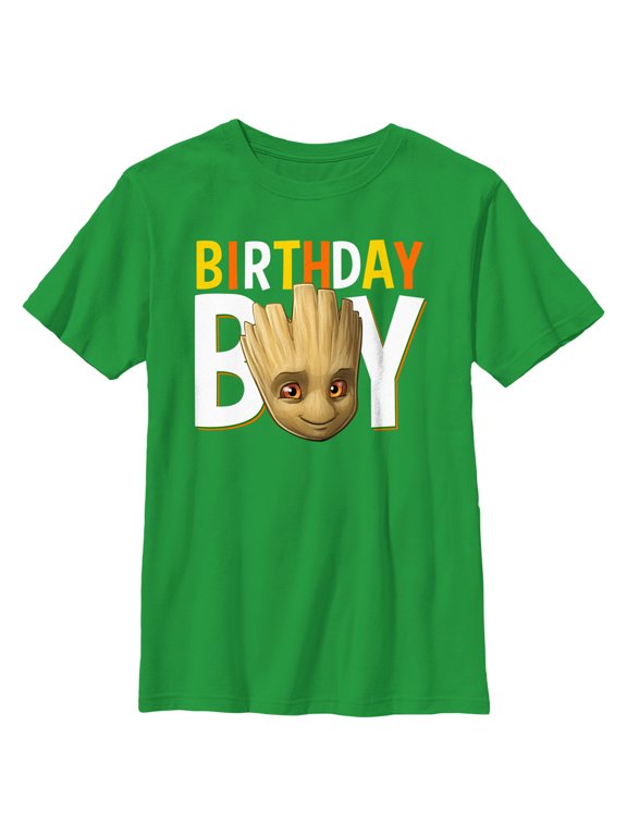 Boy's Guardians of the Galaxy Birthday Boy Groot Graphic Tee Kelly Green Large