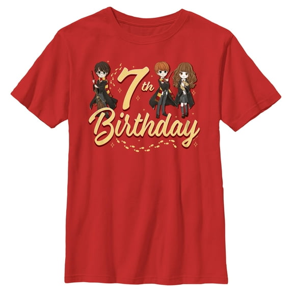 Boy's Harry Potter 7th Birthday Friends Graphic Tee Red Medium