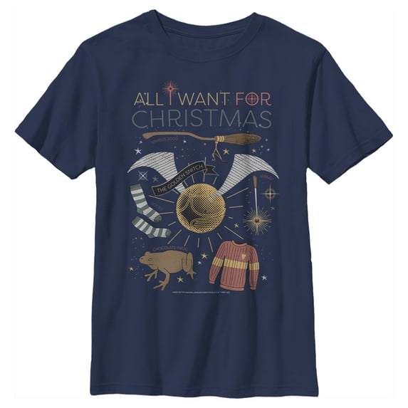 Boy's Harry Potter All I Want for Wizard Christmas Graphic Tee Navy Blue Large