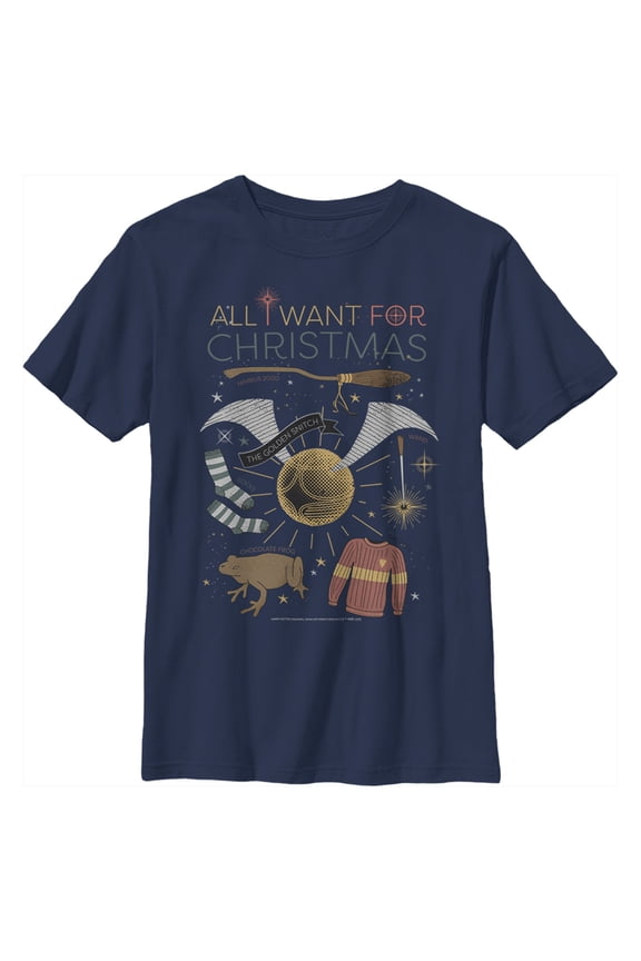 Boy's Harry Potter All I Want for Wizard Christmas Graphic Tee Navy Blue X Large
