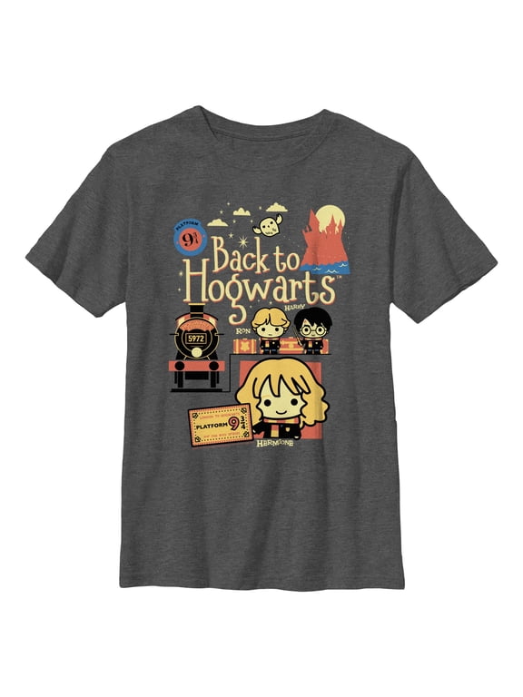 Boys' Husky Harry Potter Back to Hogwarts Cartoon Graphic Tee Charcoal Heather Small