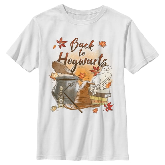 Boy's Harry Potter Chamber of Secrets Hedwig Back to Hogwarts Graphic Tee White Medium