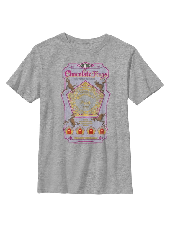 Boy's Harry Potter Chocolate Frogs Graphic Tee Athletic Heather Small