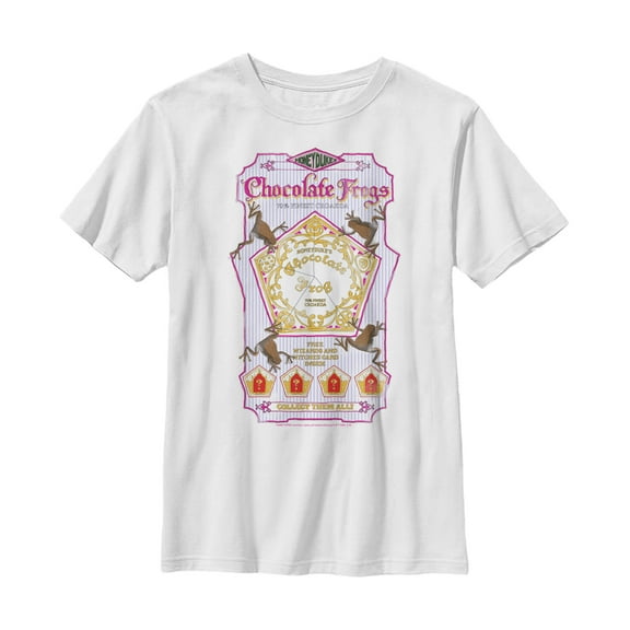 Boy's Harry Potter Chocolate Frogs  Graphic Tee White Small