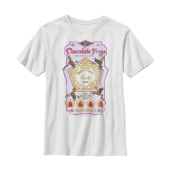 Boy's Harry Potter Chocolate Frogs Graphic Tee White X Large