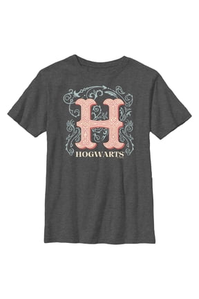 Boy's Harry Potter Decorative Hogwarts Symbol Graphic Tee Charcoal Heather Medium