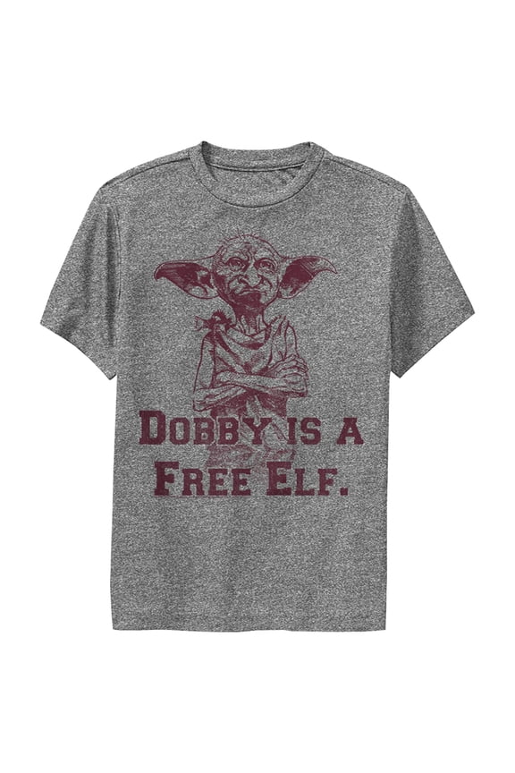 Boy's Harry Potter Dobby is a Free Elf Performance Graphic Tee Charcoal Heather Medium