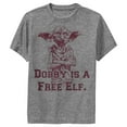 thumbnail image 1 of Boy's Harry Potter Dobby is a Free Elf Performance Graphic Tee Charcoal Heather Small, 1 of 4