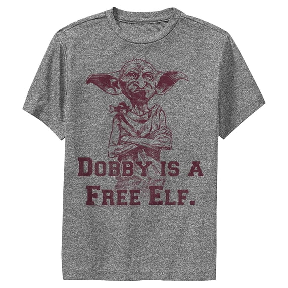 Boy's Harry Potter Dobby is a Free Elf Performance Graphic Tee Charcoal Heather Small
