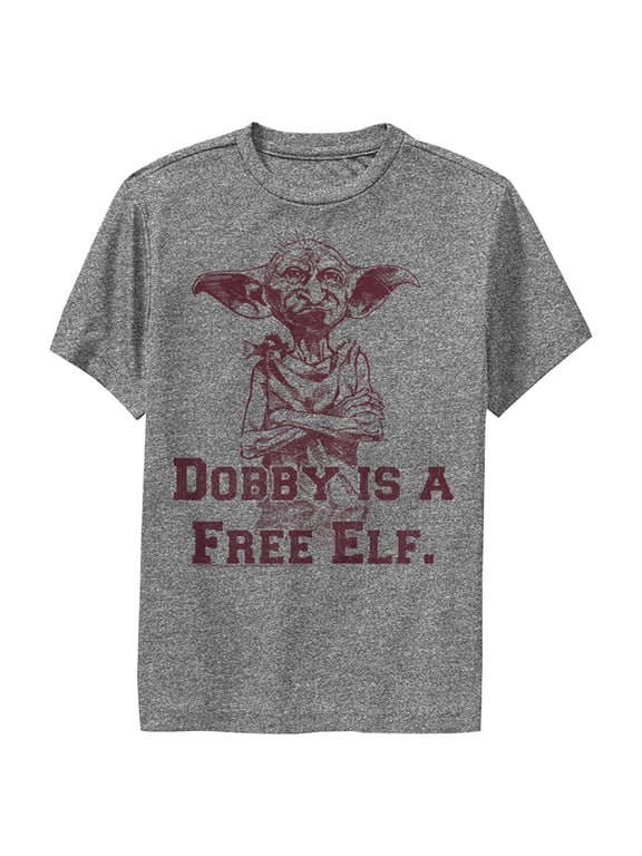 Boy's Harry Potter Dobby is a Free Elf Performance Graphic Tee Charcoal Heather X Large