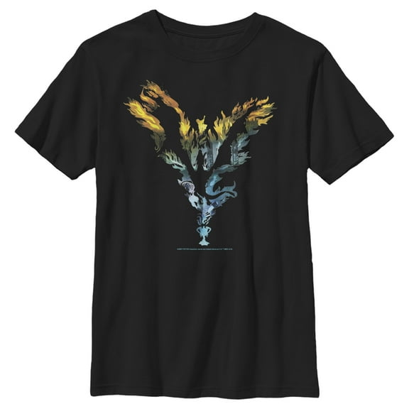 Boy's Harry Potter Dragon Flame Silhouette  Graphic Tee Black Large