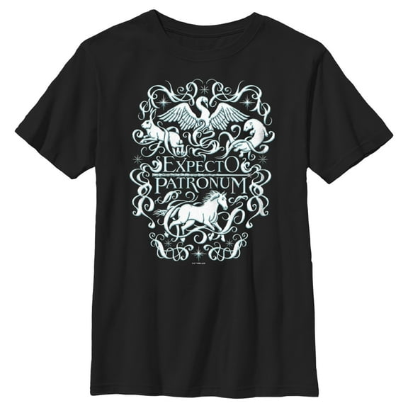 Boy's Harry Potter Expecto Patronum Animals Graphic Tee Black Large
