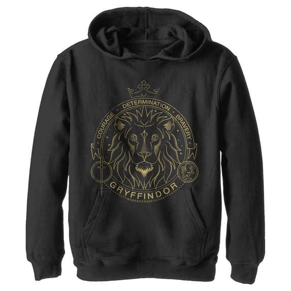 Boy's Harry Potter Gryffindor Line Art Seal Pull Over Hoodie Black Small