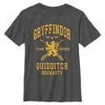 thumbnail image 1 of Boy's Harry Potter Gryffindor Quidditch Gold Team Seeker Graphic T-Shirt, 1 of 5