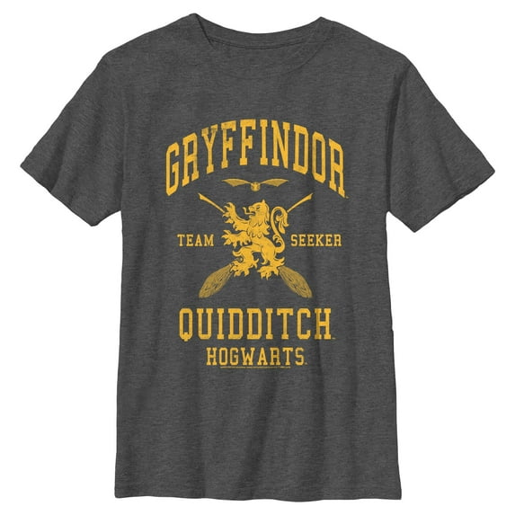 Boy's Harry Potter Gryffindor Quidditch Gold Team Seeker Graphic T-Shirt