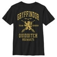 thumbnail image 1 of Boy's Harry Potter Gryffindor Quidditch Gold Team Seeker Graphic Tee Black Medium, 1 of 5