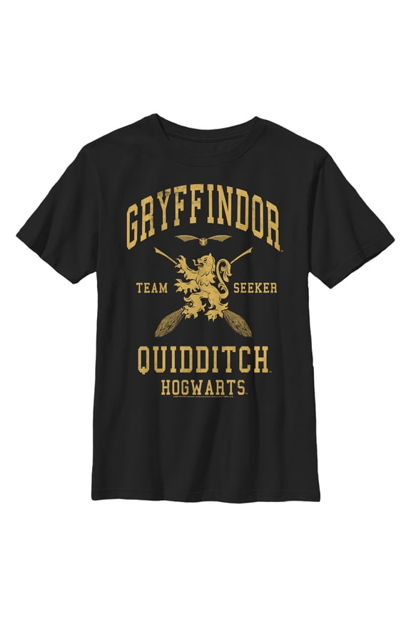 Boys' Husky Harry Potter Gryffindor Quidditch Gold Team Seeker Graphic Tee Black X Large