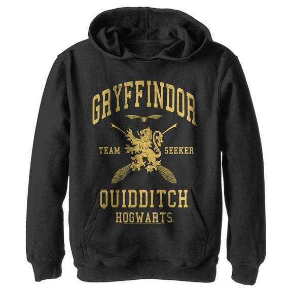 Boy's Harry Potter Gryffindor Quidditch Gold Team Seeker Pull Over Hoodie Black X Large