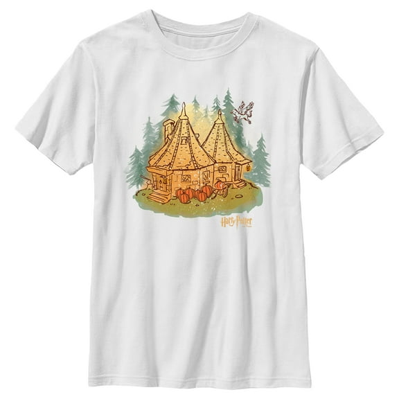 Boy's Harry Potter Hagrid's Hut Fall  Graphic Tee White X Large