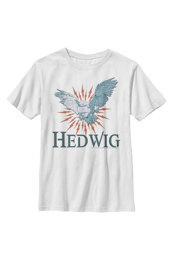 Boy's Harry Potter Hedwig Owl Flight Graphic Tee White Large