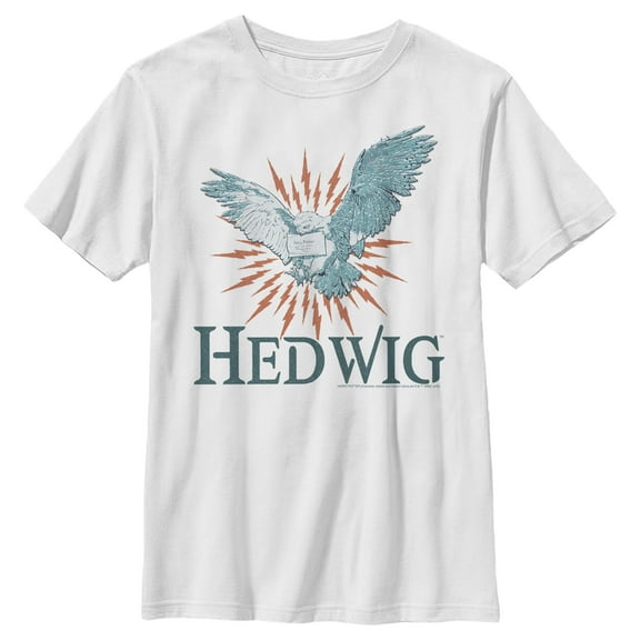 Boy's Harry Potter Hedwig Owl Flight  Graphic Tee White Medium
