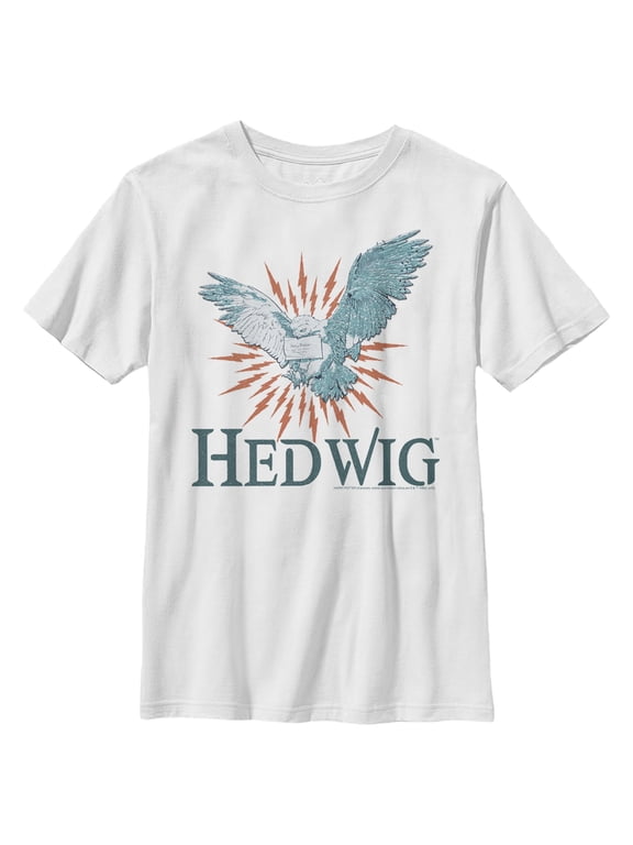 Boy's Harry Potter Hedwig Owl Flight Graphic Tee White Medium