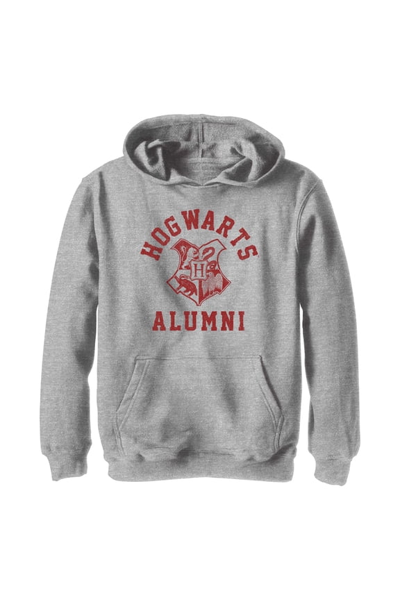 Boy's Harry Potter Hogwarts Alumni  Pull Over Hoodie