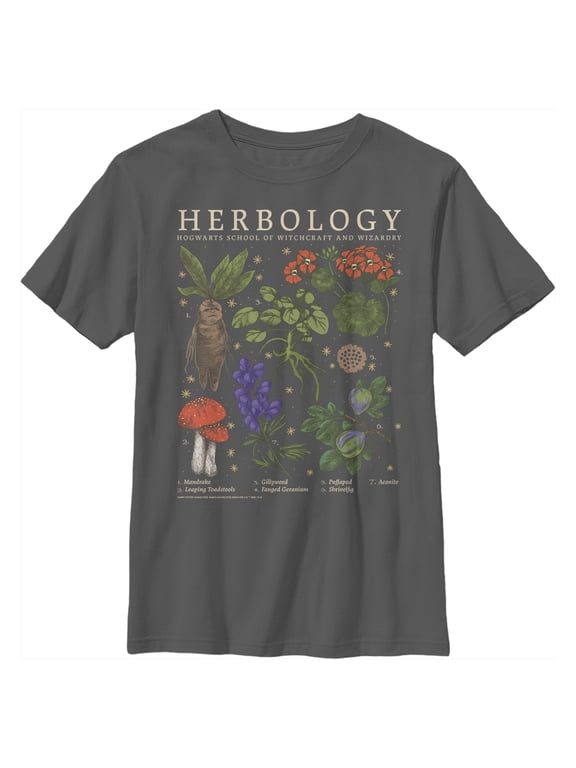 Boy's Harry Potter Hogwarts Herbology Graphic Tee Charcoal Small