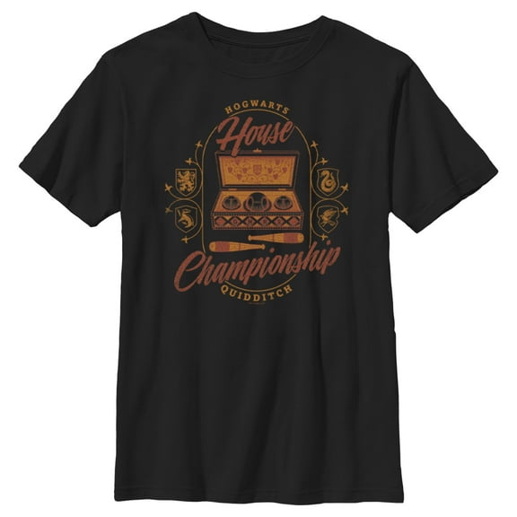 Boy's Harry Potter Hogwarts House Championship Graphic Tee Black X Large