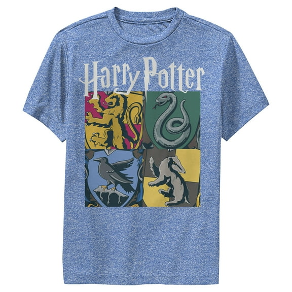 Boy's Harry Potter Hogwarts Houses Vintage Collage Performance Graphic Tee Royal Blue Heather Medium