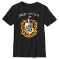 thumbnail image 1 of Boy's Harry Potter Hufflepuff Birthday Boy Graphic Tee Black Medium, 1 of 5