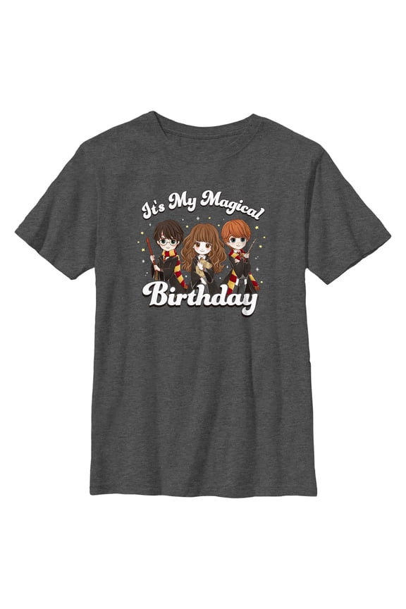 Boy's Harry Potter It’s My Magical Birthday Cute Characters Graphic Tee Charcoal Heather Medium