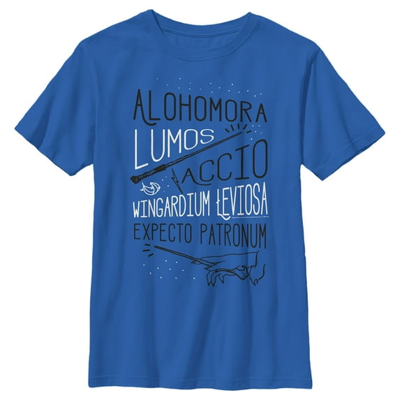 Boy's Harry Potter List of Spells Graphic Tee Royal Blue X Small