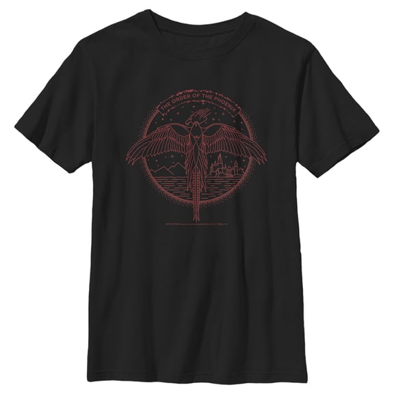 Boy's Harry Potter Order of Phoenix Flight Graphic Tee Black Medium