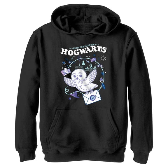 Boy's Harry Potter The Magic Letter Pull Over Hoodie Black Small