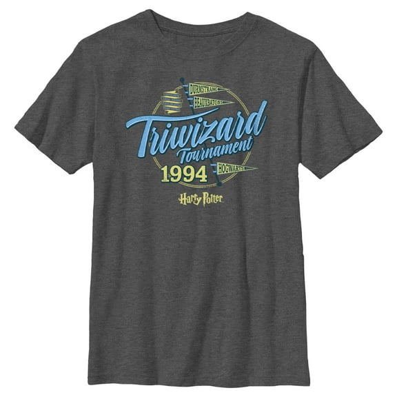 Boy's Harry Potter Triwizard Tournament Flag Graphic Tee Charcoal Heather Medium