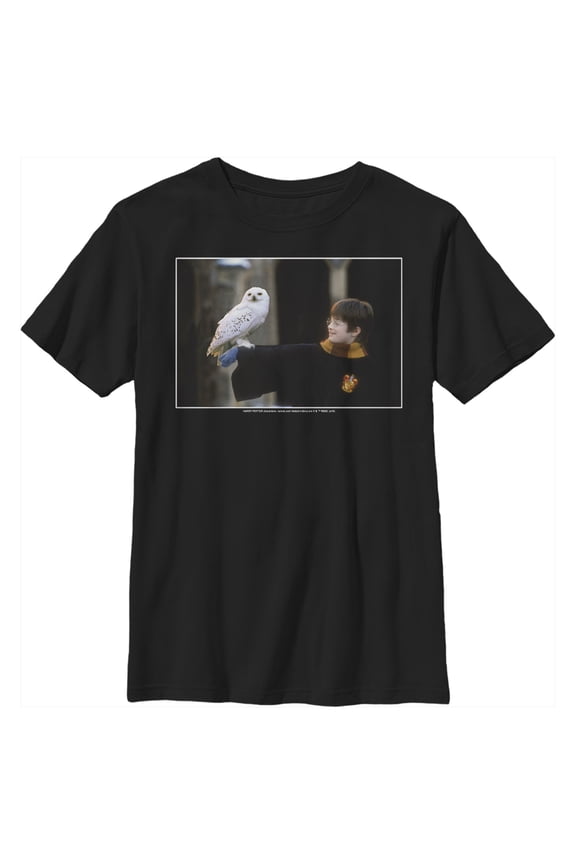 Boy's Harry Potter Wizard and Owl Graphic Tee Black Medium