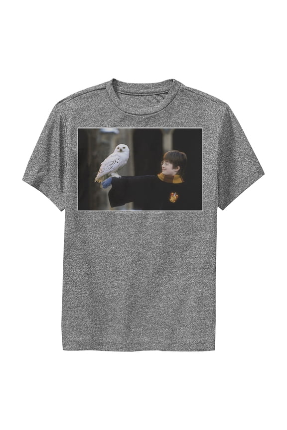 Boy's Harry Potter Wizard and Owl Performance Graphic Tee Charcoal Heather Large
