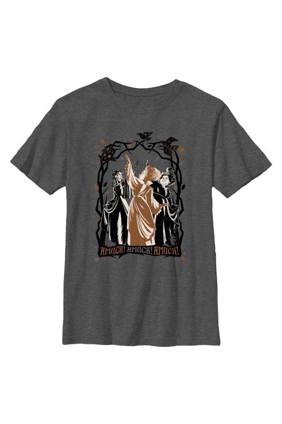 Boy's Hocus Pocus 2 Amuck Witch Cartoon Graphic Tee Charcoal Heather Small