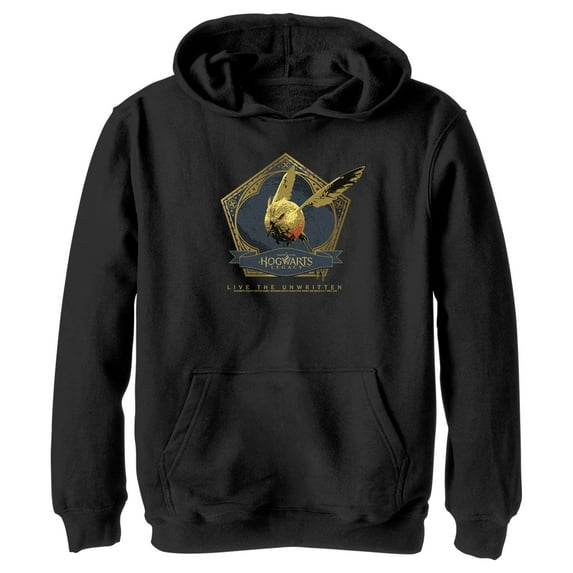 Boy's Hogwarts Legacy Golden Snidget Logo Pull Over Hoodie Black Small