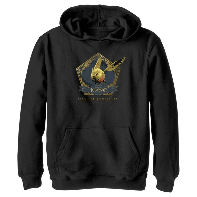 Boy s Hogwarts Legacy Golden Snidget Logo Pull Over Hoodie Black X Large