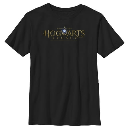 Boy's Hogwarts Legacy Official Logo Graphic Tee Black Large