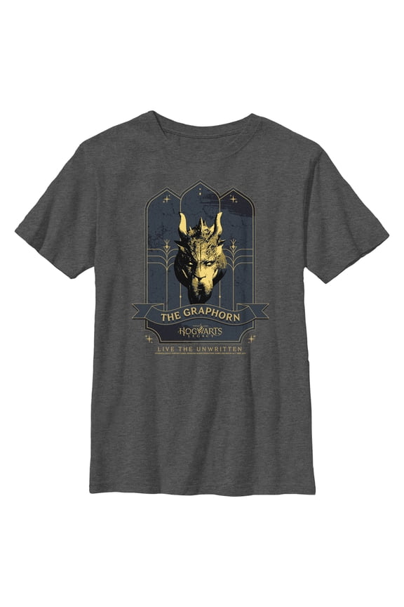 Boy's Hogwarts Legacy The Graphorn Logo Graphic Tee Charcoal Heather Small