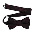 thumbnail image 1 of Boy’s Imperial Burgundy Formal Satin Pre-Tied Bow Tie by Spencer J’s Signature Satin Collection, 1 of 4