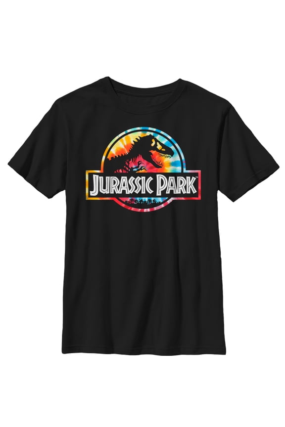 Boy's Jurassic Park Groovy Tie-Dye Logo Graphic Tee Black Large