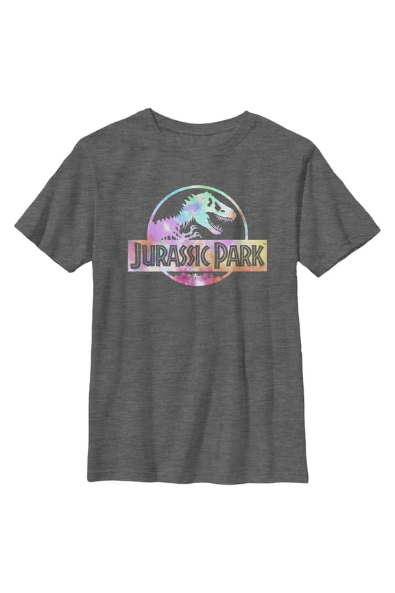 Boy's Jurassic Park Pastel Tie-Dye Logo Graphic Tee Charcoal Heather X Large