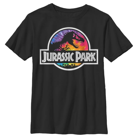 Boy's Jurassic Park Rainbow Tie Dye Logo Graphic Tee Black Small
