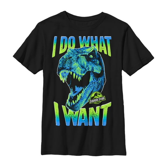 Boy's Jurassic Park T. Rex Do What I Want Graphic Tee Black Small